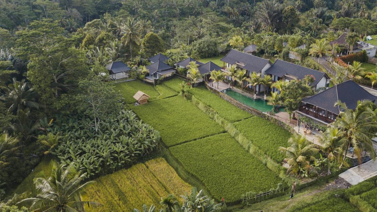 Pinggala Villa Ubud Паянган Экстерьер фото